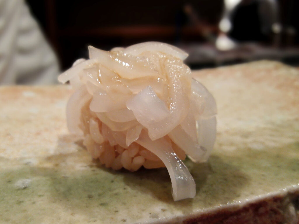 唐津のヤリイカ